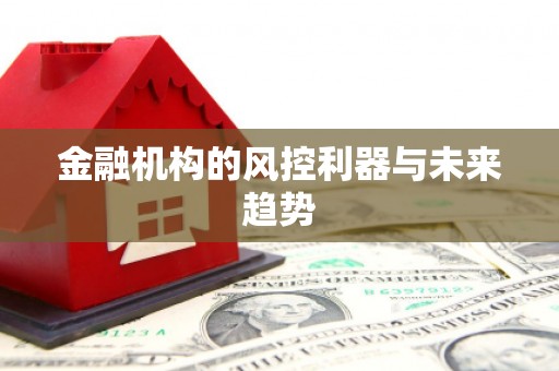 获嘉金融机构的风控利器与未来趋势