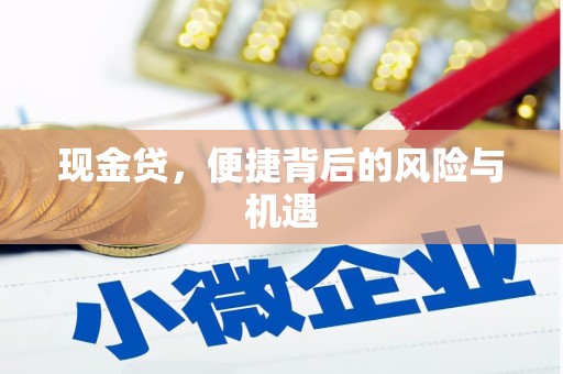 获嘉现金贷，便捷背后的风险与机遇