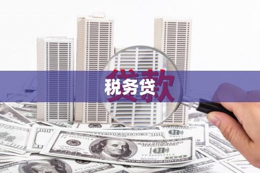 获嘉税务贷