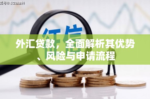 获嘉外汇贷款，全面解析其优势、风险与申请流程