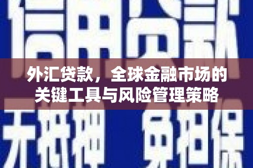 获嘉外汇贷款，全球金融市场的关键工具与风险管理策略