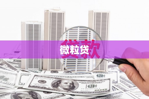 获嘉微粒贷