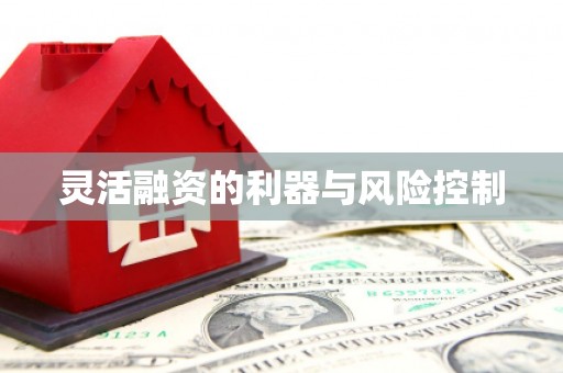 获嘉灵活融资的利器与风险控制