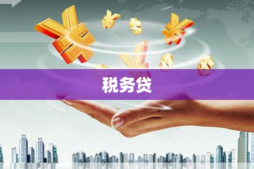 获嘉税务贷
