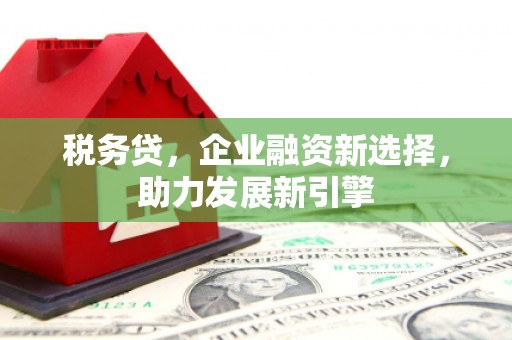 获嘉税务贷，企业融资新选择，助力发展新引擎