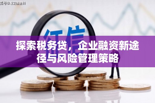 获嘉探索税务贷，企业融资新途径与风险管理策略