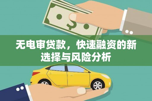 获嘉无电审贷款，快速融资的新选择与风险分析