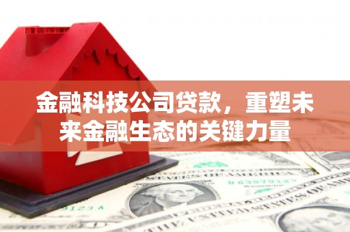 获嘉金融科技公司贷款，重塑未来金融生态的关键力量