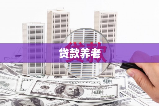 获嘉贷款养老