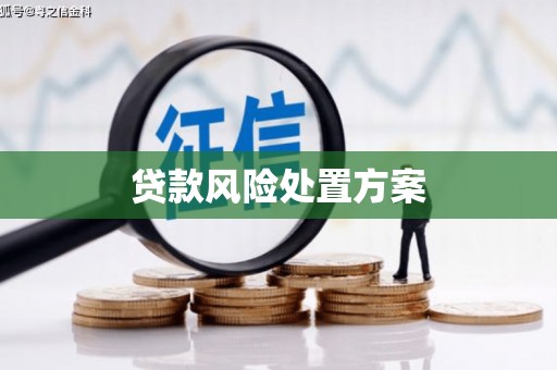 获嘉贷款风险处置方案