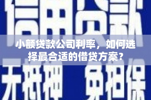 获嘉小额贷款公司利率，如何选择最合适的借贷方案？