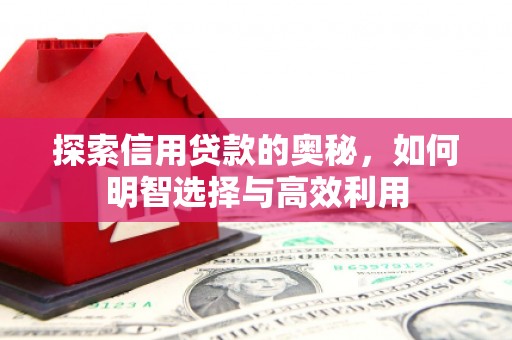 获嘉探索信用贷款的奥秘，如何明智选择与高效利用