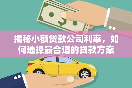 获嘉揭秘小额贷款公司利率，如何选择最合适的贷款方案