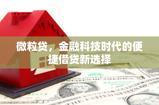 获嘉微粒贷，金融科技时代的便捷借贷新选择