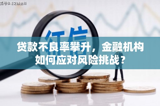 获嘉贷款不良率攀升，金融机构如何应对风险挑战？