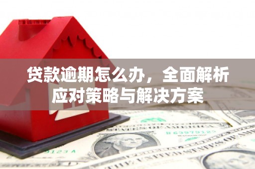获嘉贷款逾期怎么办，全面解析应对策略与解决方案