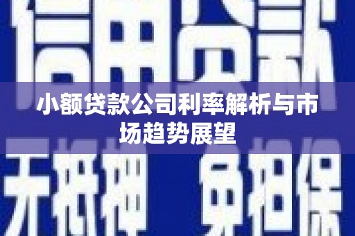 获嘉小额贷款公司利率解析与市场趋势展望