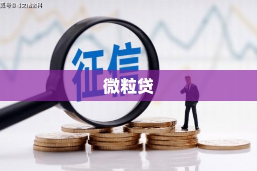 获嘉微粒贷