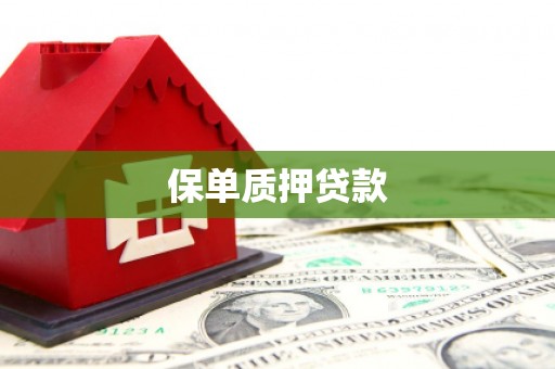 获嘉保单质押贷款